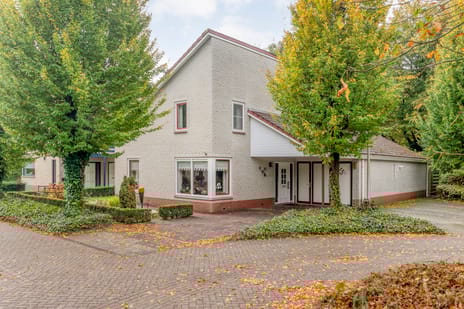 Magnolialaan thumbnail