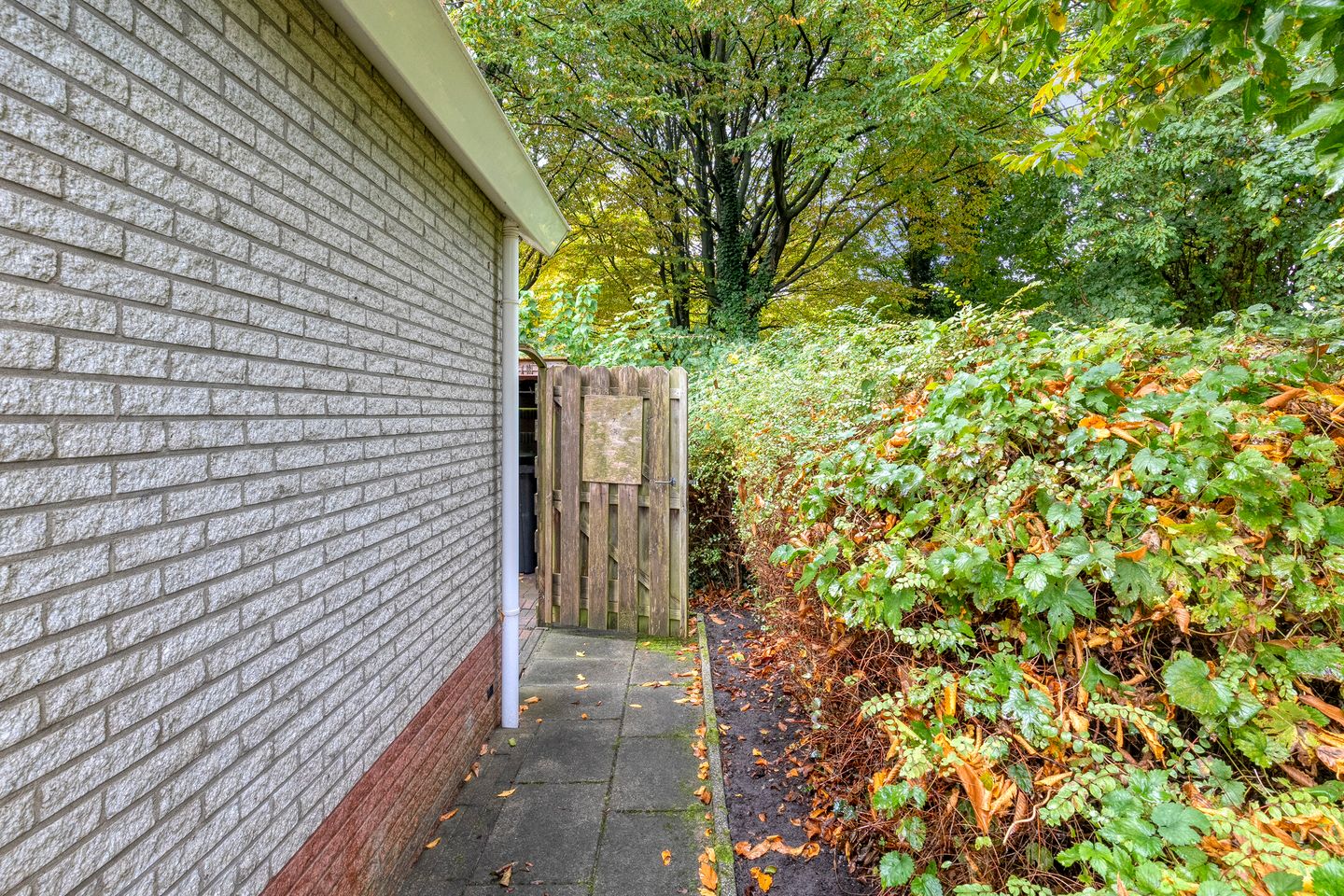 Foto 5 van Magnolialaan 15-E