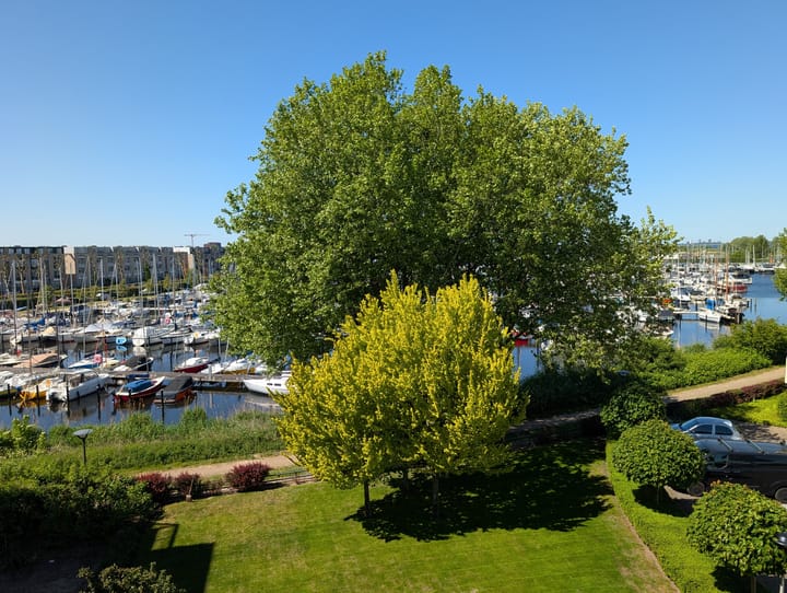 Photo 36 of Labradorstroom 37