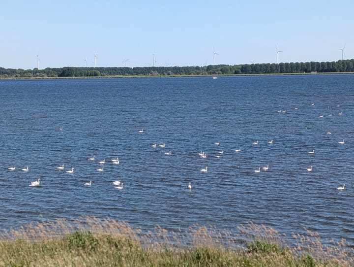 Photo 41 of Labradorstroom 37