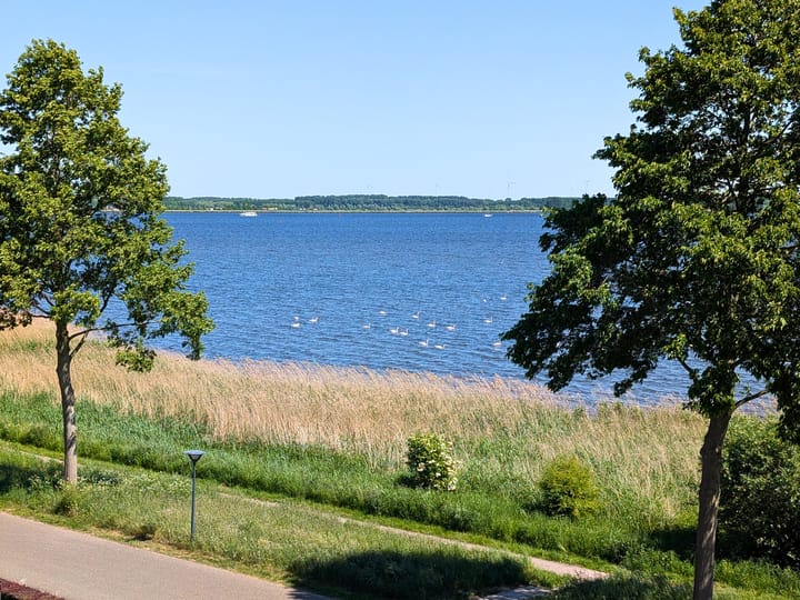 Photo 42 of Labradorstroom 37