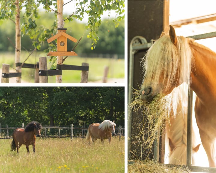 Photo 3 of Julianastraat 81