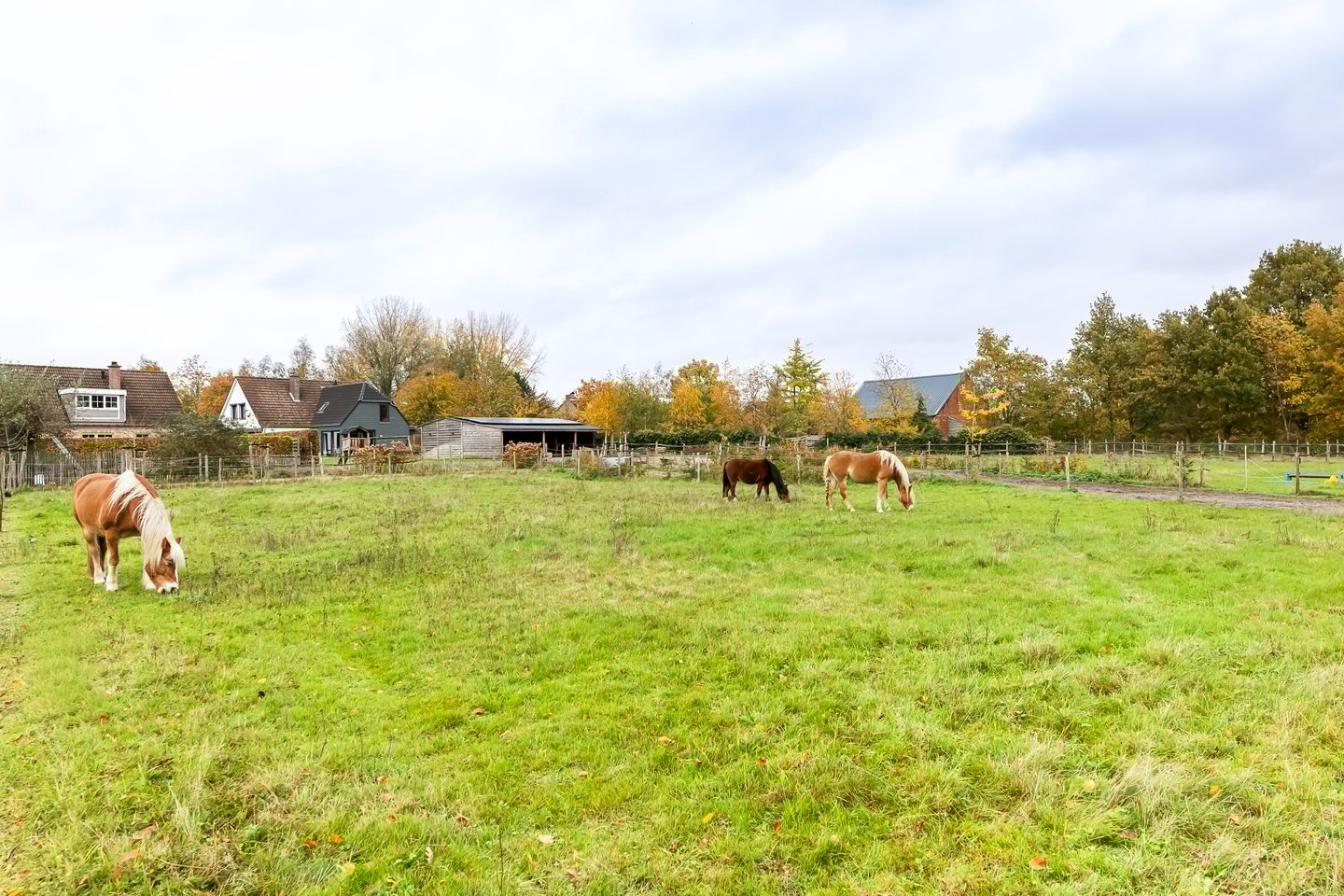 Photo 49 of Julianastraat 81