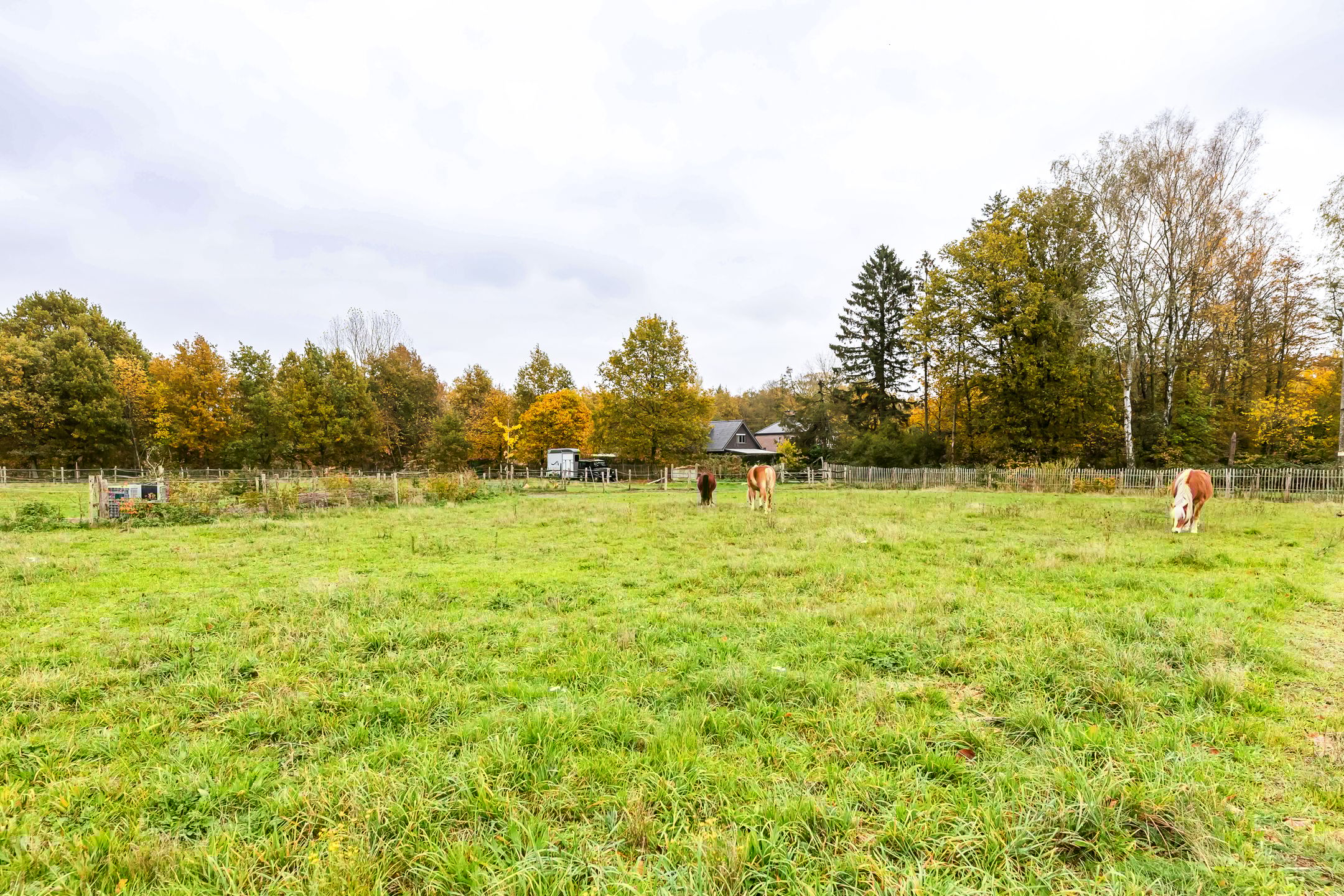 Photo 51 of Julianastraat 81