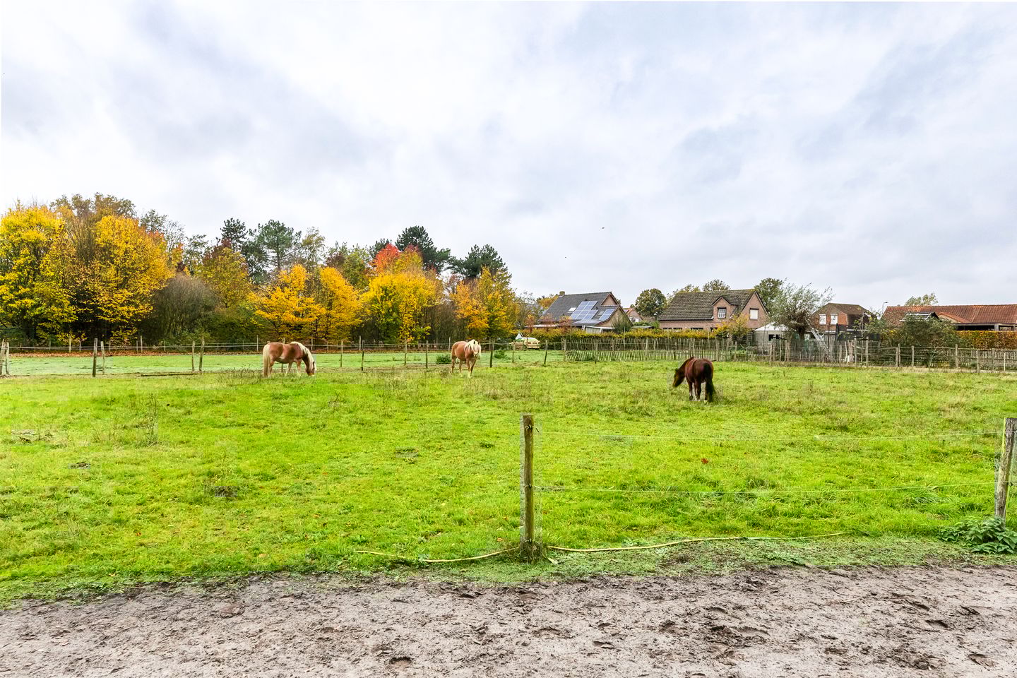 Photo 55 of Julianastraat 81