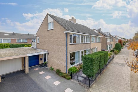 undefined main image