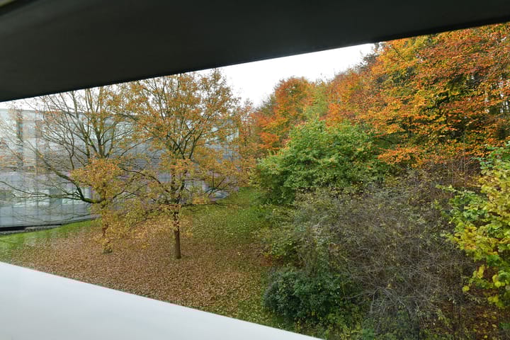 Photo 16 of Dominicanenweg 17