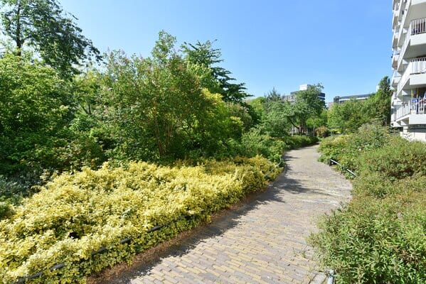 Foto 25 van Sirtemastraat 312