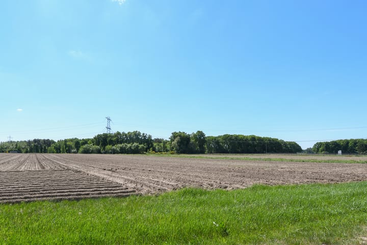 Photo 38 of Napoleonsweg 5