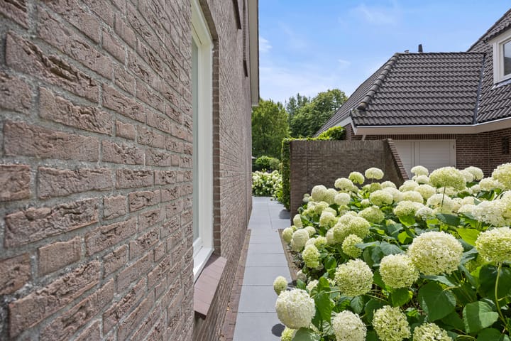 Photo 36 of Berkakker 22