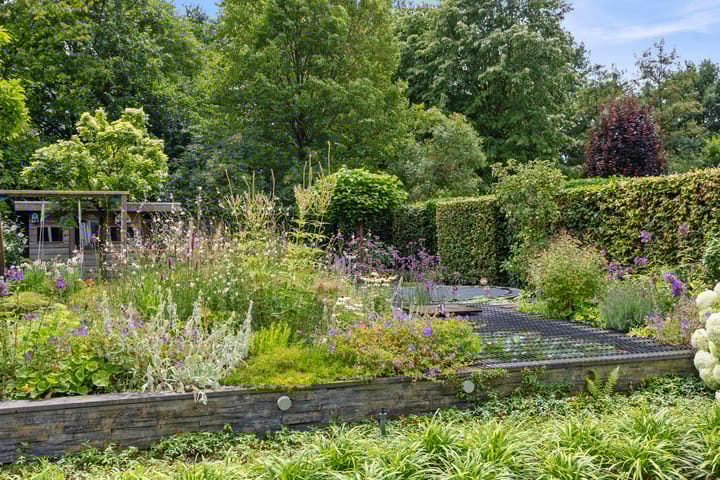 Photo 39 of Berkakker 22