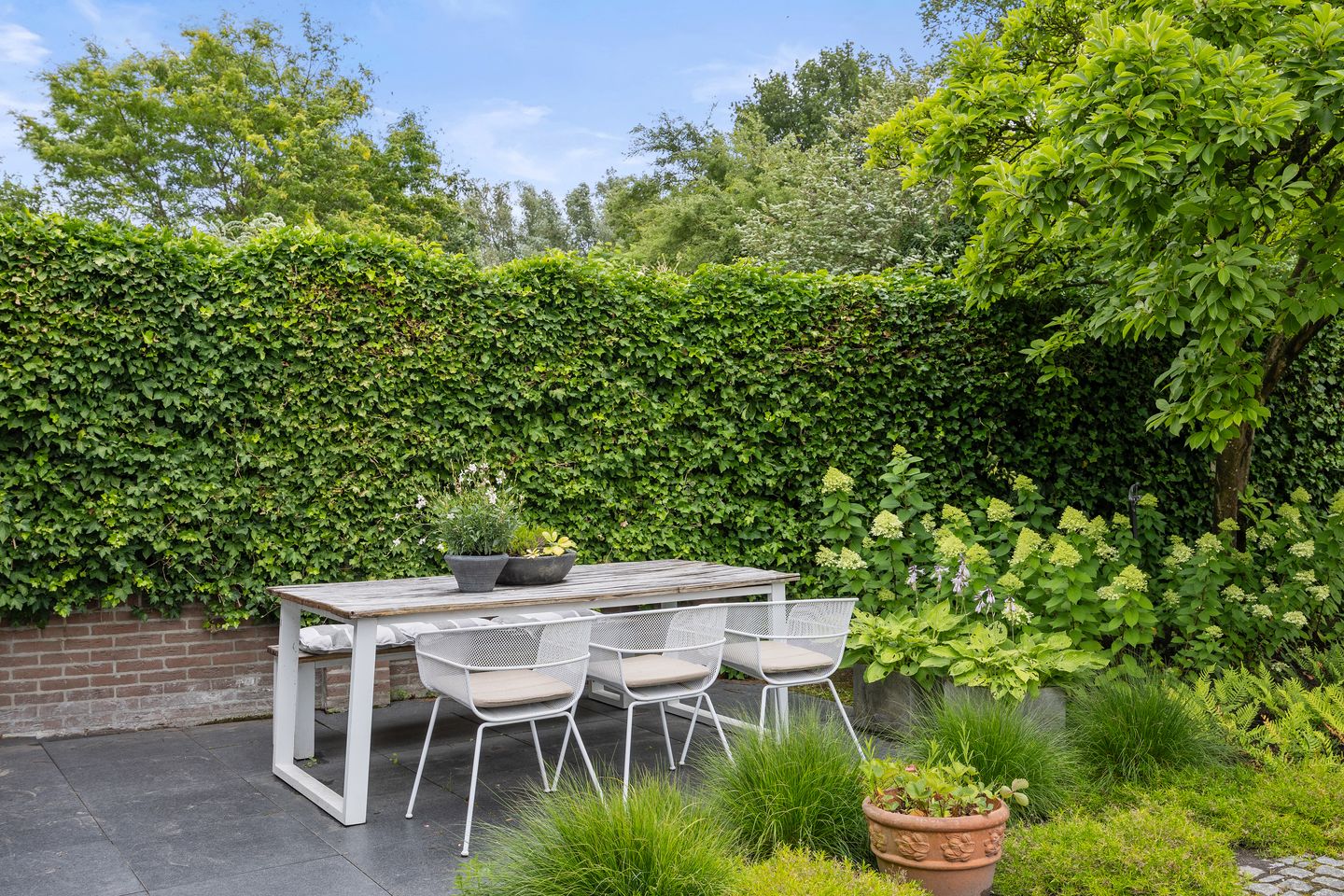 Photo 40 of Berkakker 22