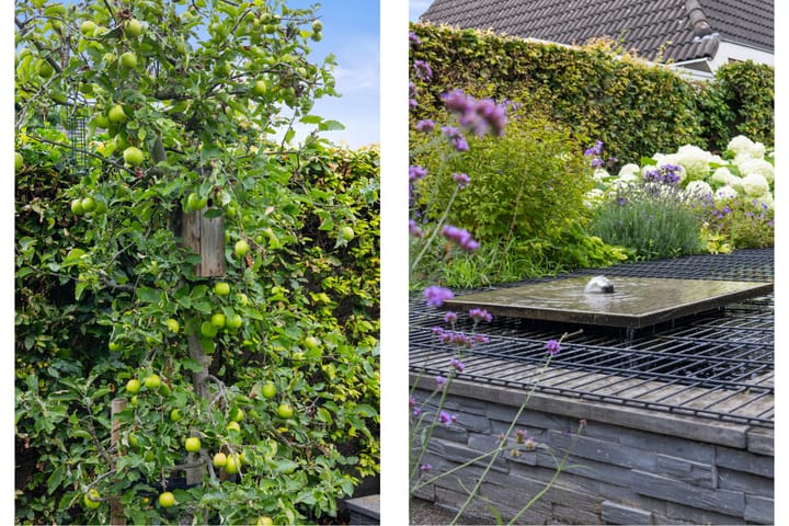 Photo 43 of Berkakker 22