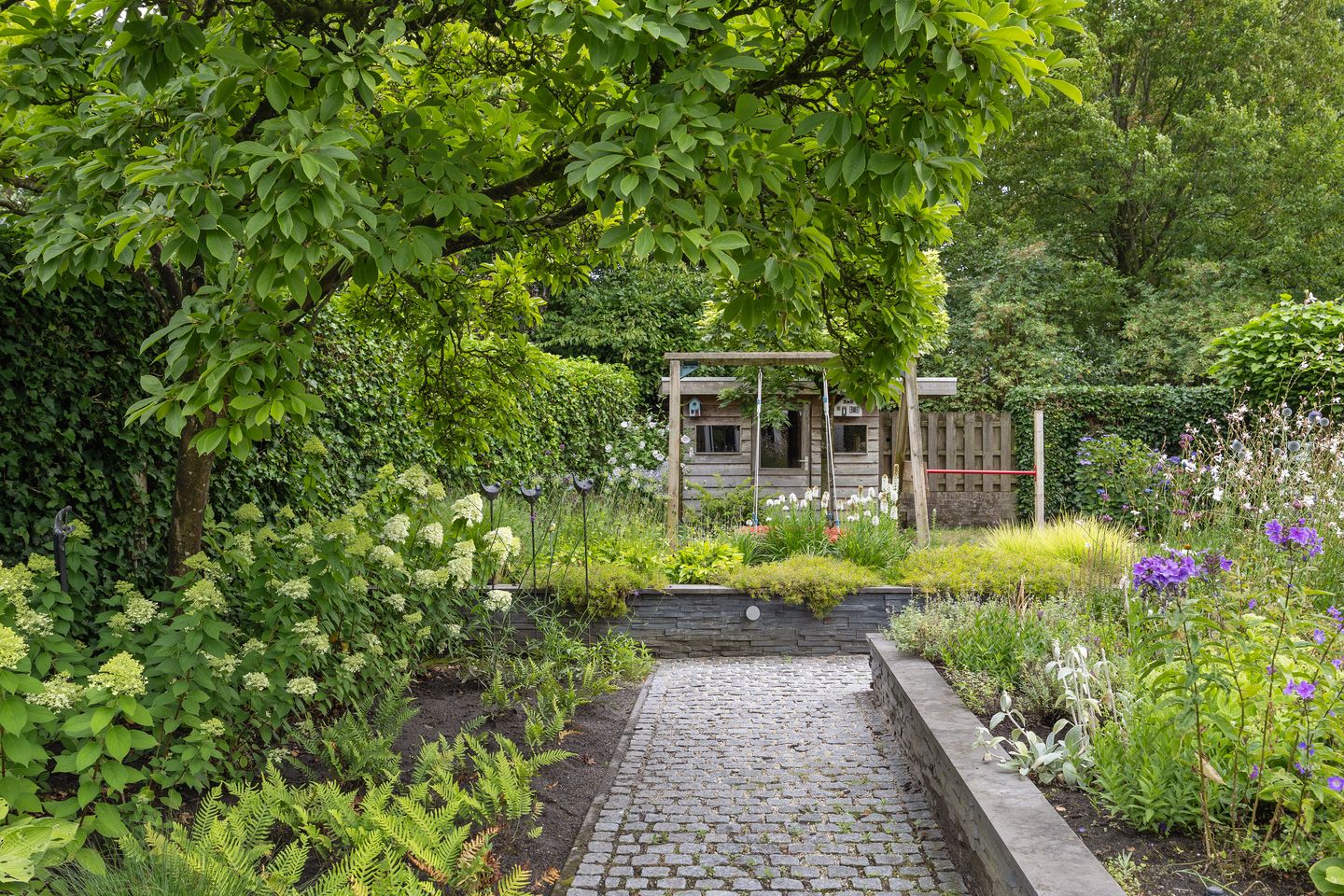 Photo 44 of Berkakker 22