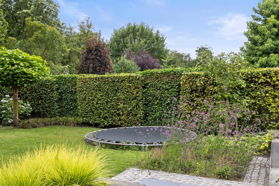 Photo 46 of Berkakker 22