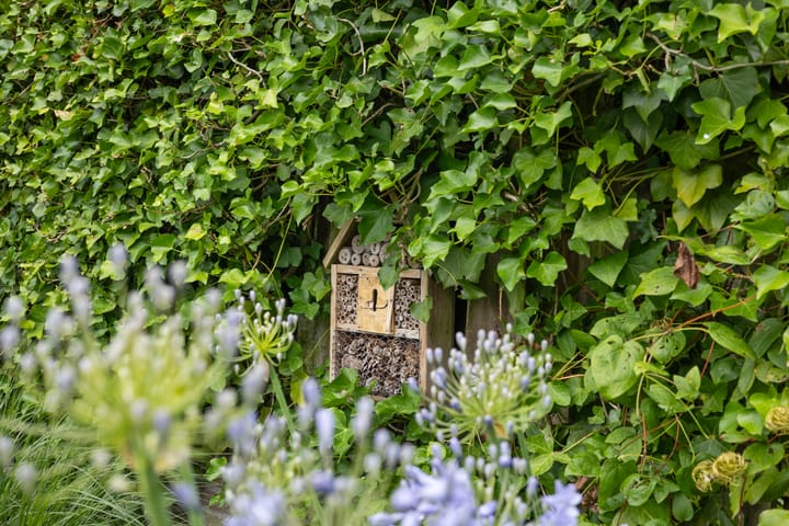 Photo 49 of Berkakker 22