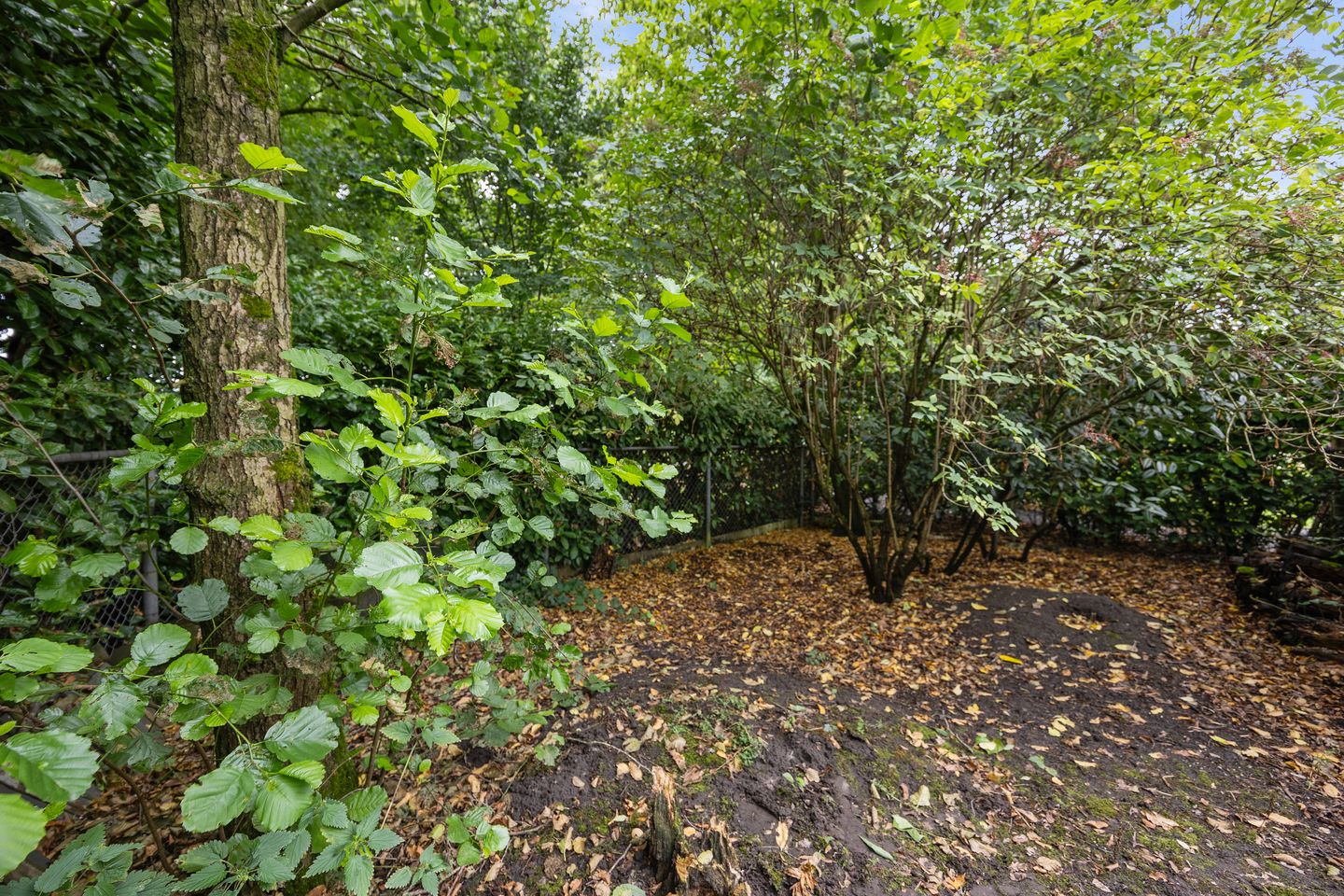 Photo 50 of Berkakker 22