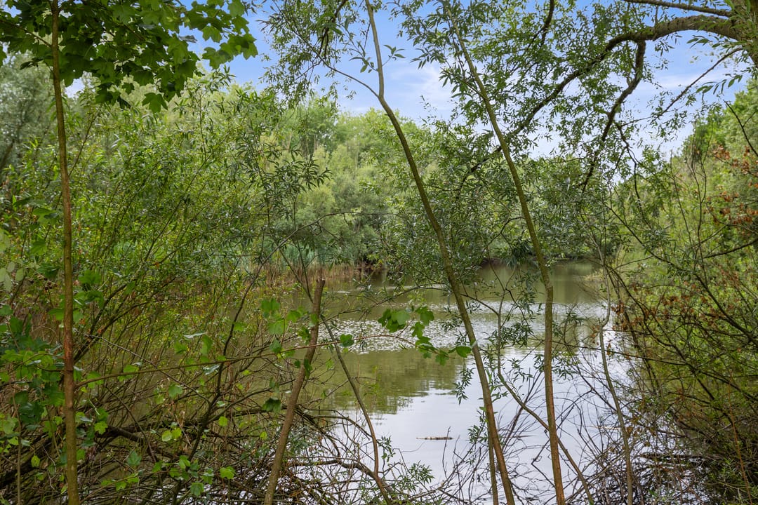 Photo 56 of Berkakker 22