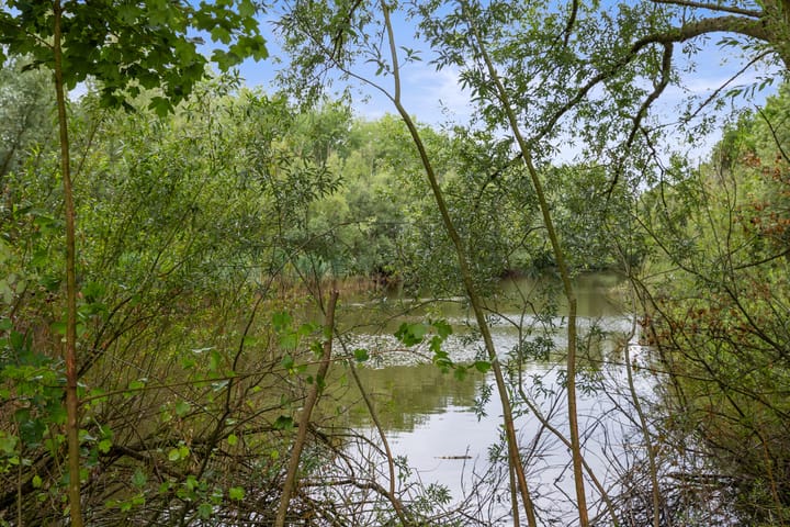 Photo 56 of Berkakker 22