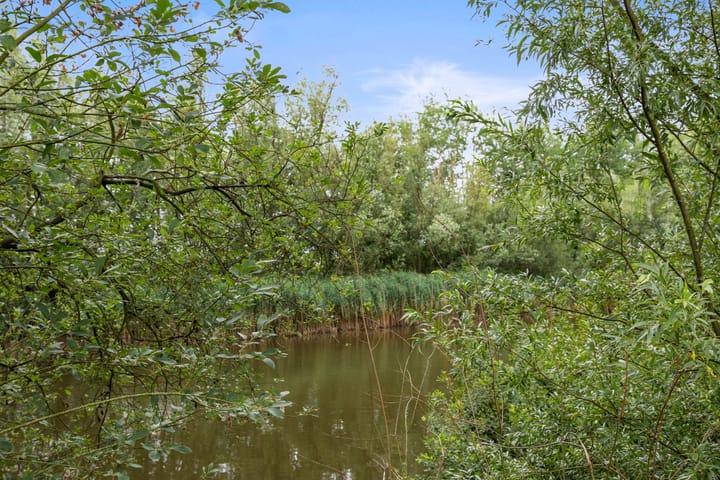 Photo 57 of Berkakker 22