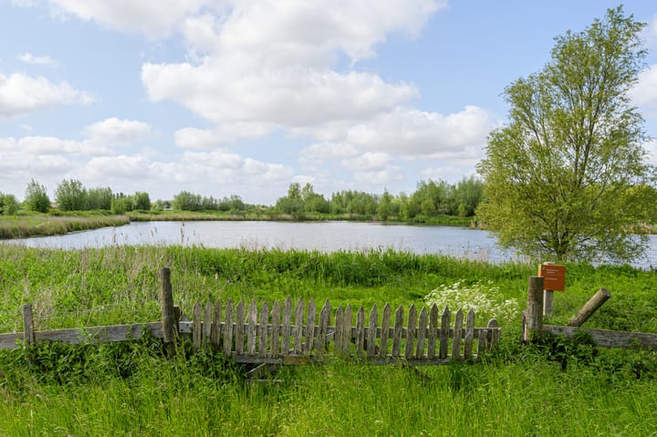 Photo 5 of Droge Wijmersweg 5-245