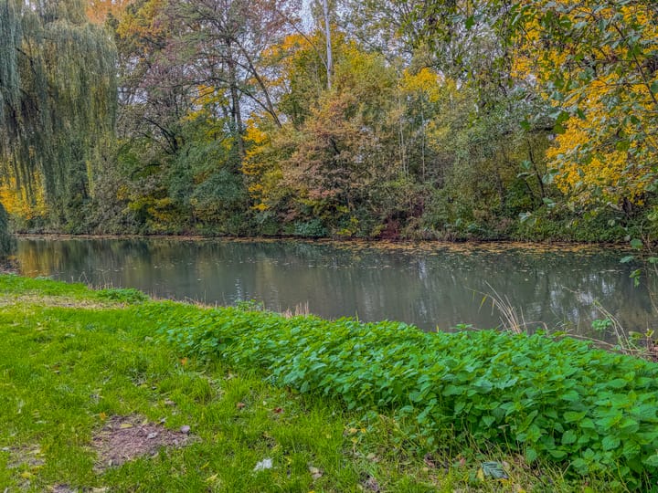 Photo 51 of Wissenkerkepad 40