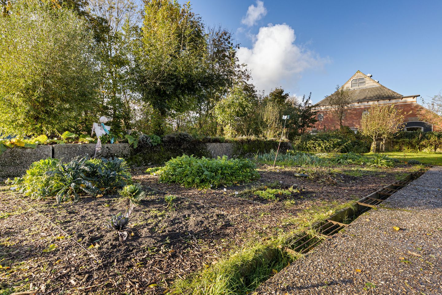 Foto 5 van Oosterweg 6