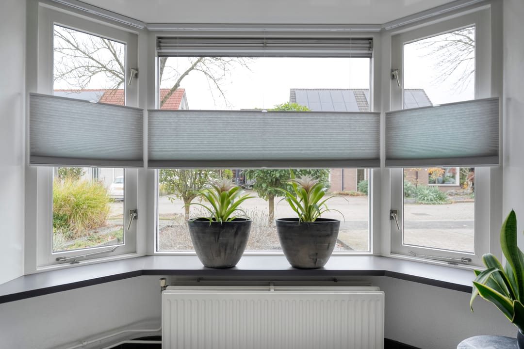 Photo 7 of Eendekroos 24