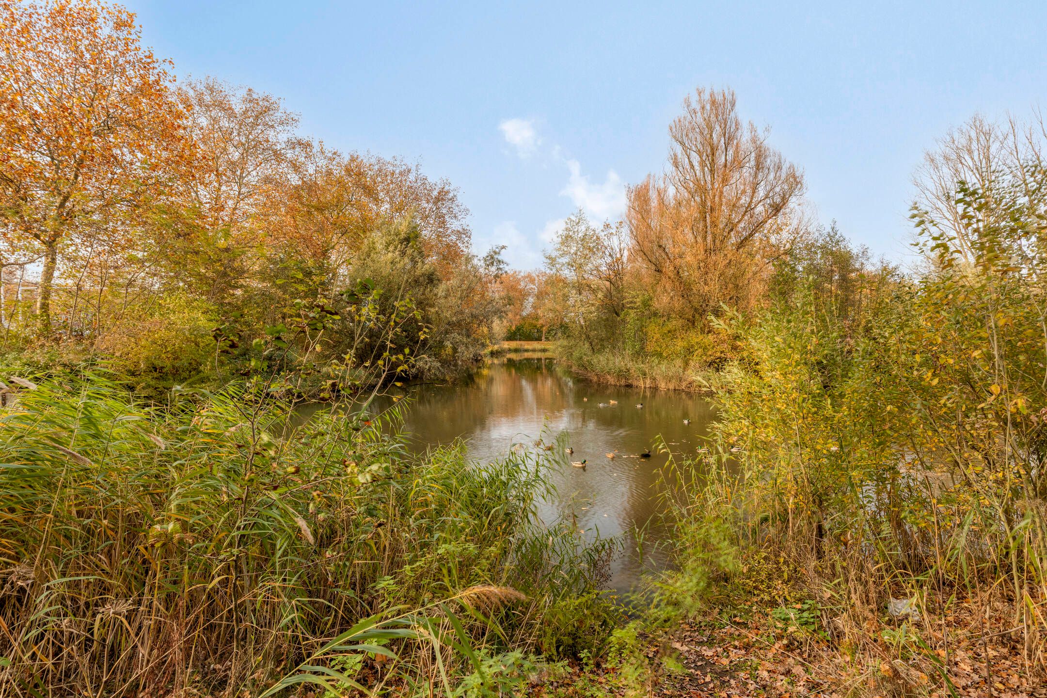 Foto 27 van Limburglaan 147