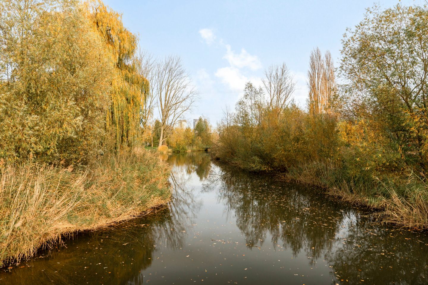 Foto 29 van Limburglaan 147