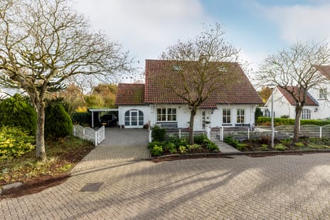 Courteniusstraat thumbnail