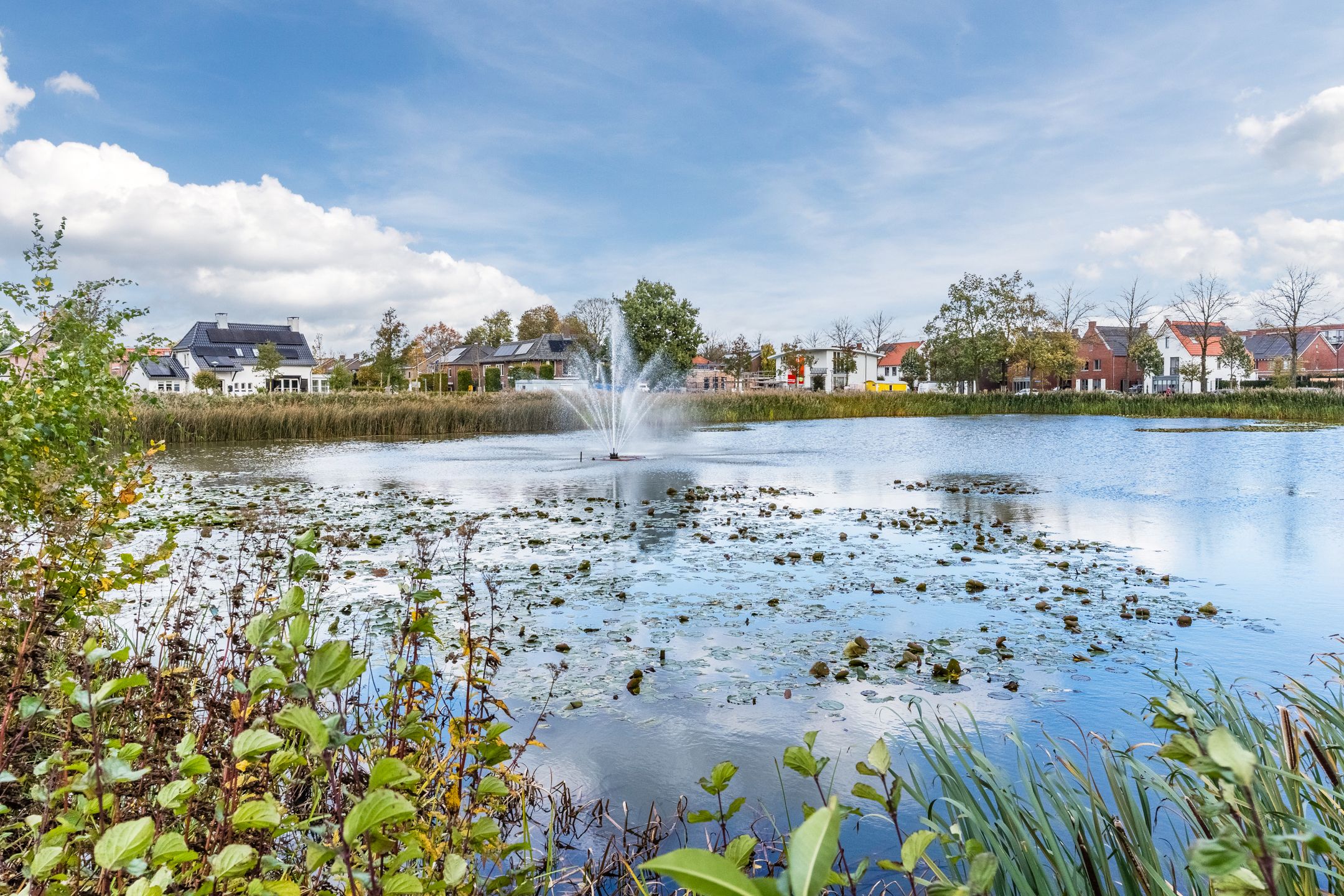 Foto 42 van Zwijsenhof 108