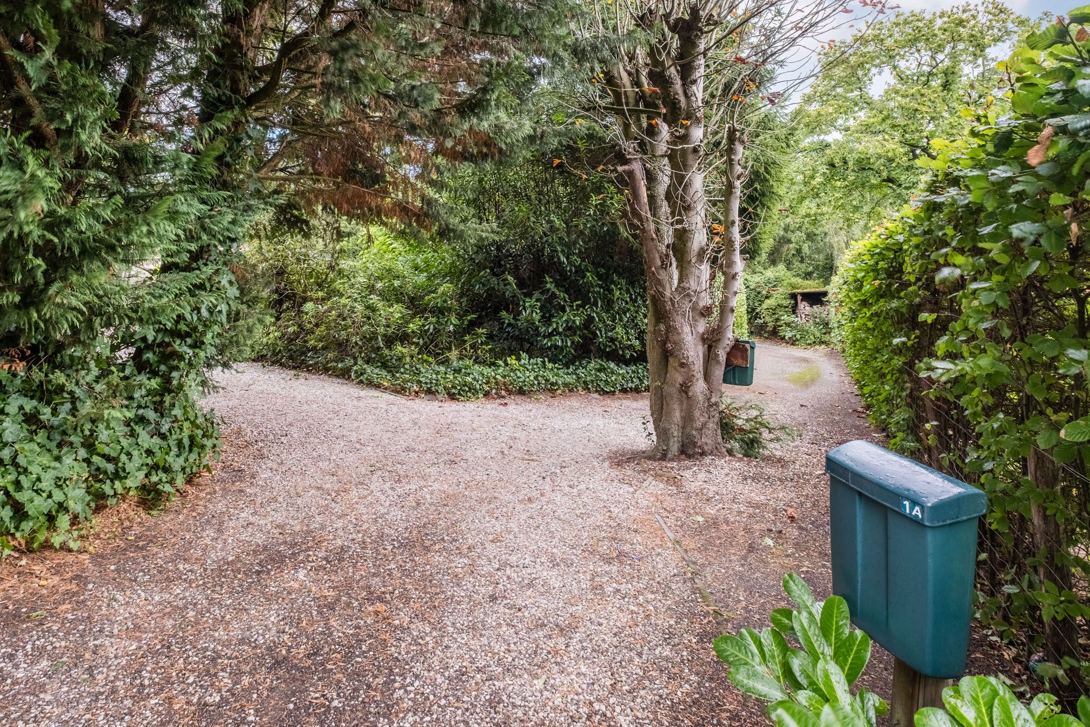 Foto 3 van Broeder Hogardstraat 1-A