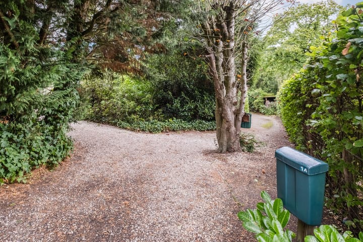 Photo 3 of Broeder Hogardstraat 1-A