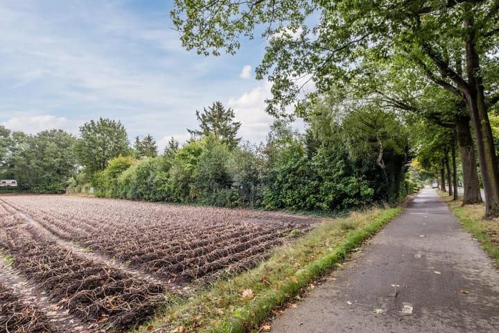 Photo 28 of Broeder Hogardstraat 1-A