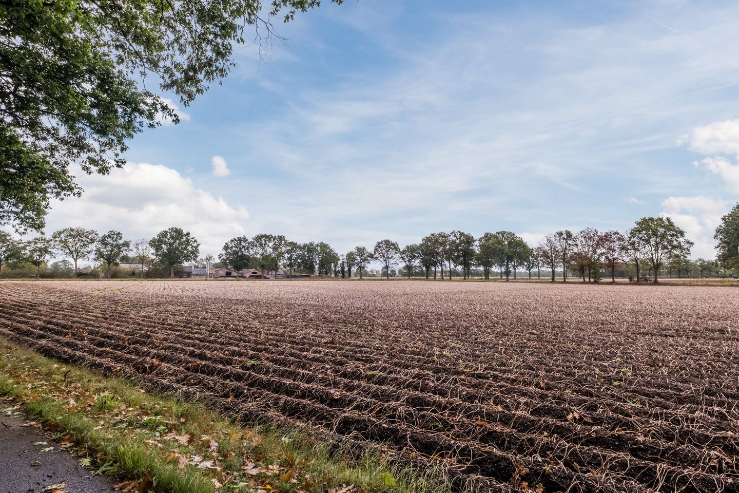 Foto 29 van Broeder Hogardstraat 1-A