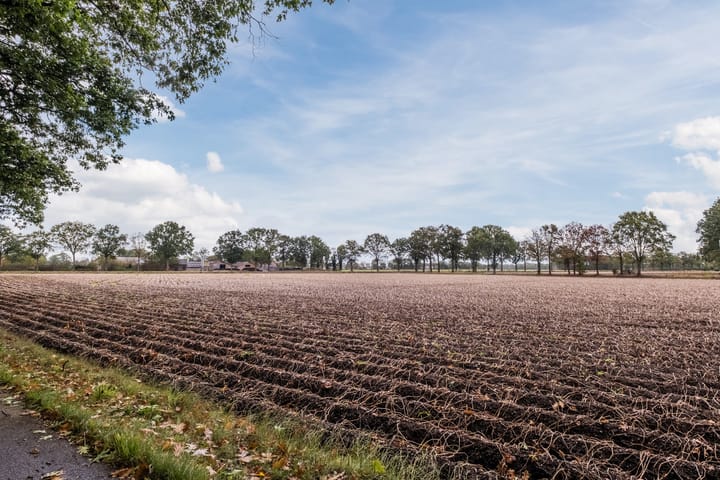 Photo 29 of Broeder Hogardstraat 1-A