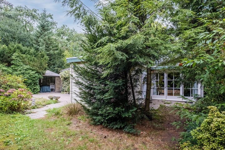 Photo 6 of Broeder Hogardstraat 1-A