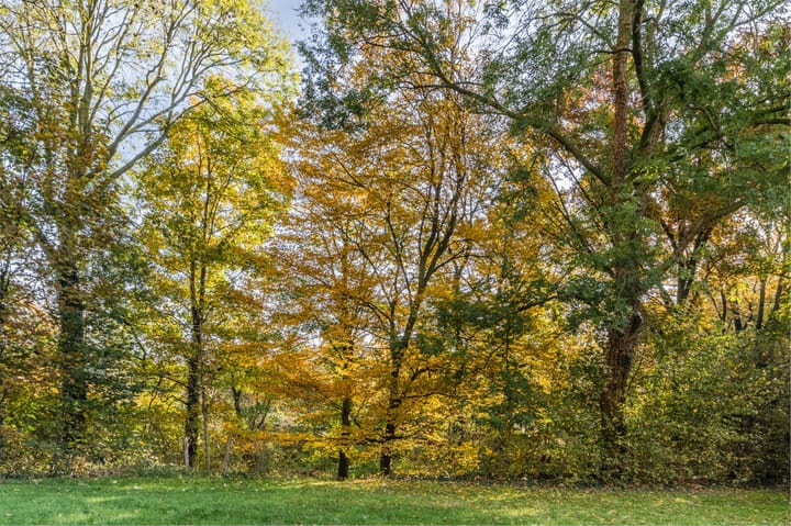 Foto 36 van Neerstraat 273