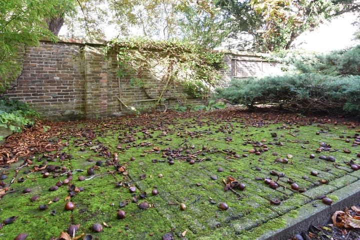 Foto 27 van Koninginnegracht 42-A