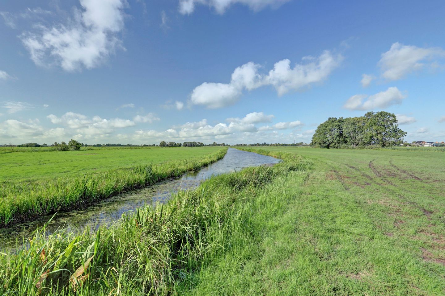 Bekijk foto 2 van Portengen