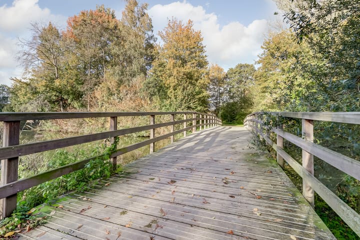 Photo 39 of Bruinissestraat 66