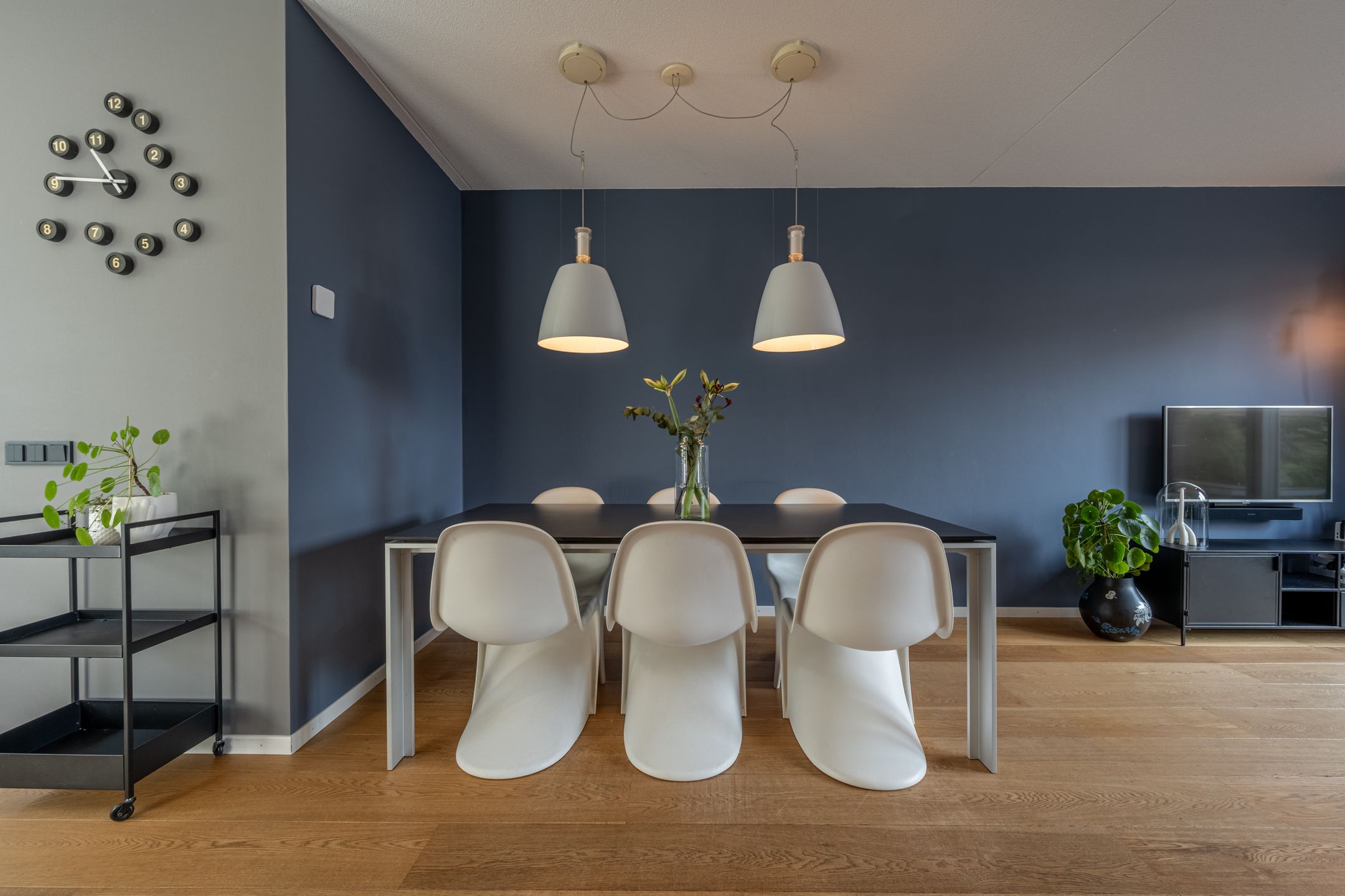 Foto 9 van Valeriaan 93