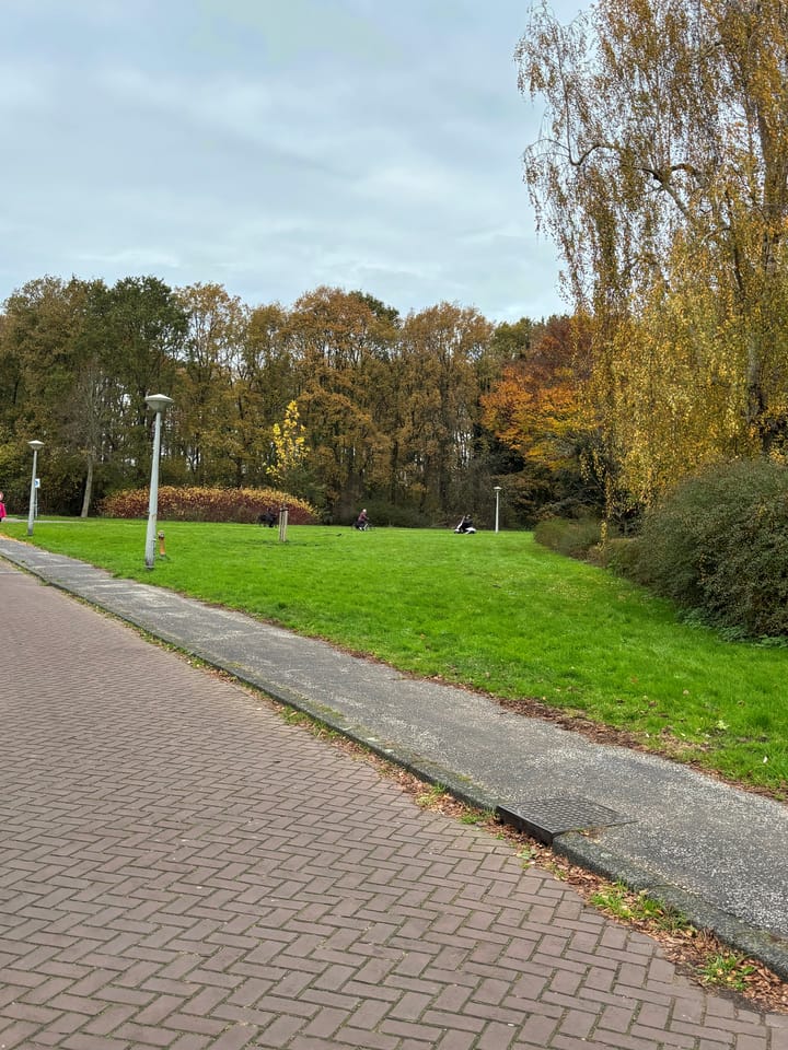 Foto 5 van Bakhuizen van den Brinkhof 31