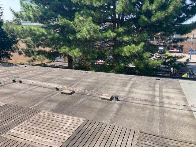 Photo 7 of Middenweg 267-B