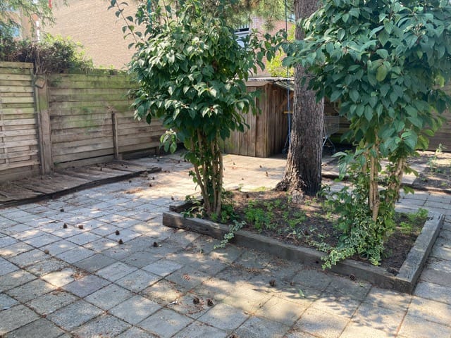 Photo 27 of Middenweg 267-B