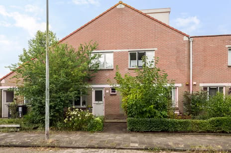 undefined main image