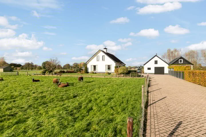 Photo 38 of Scheivoor 3