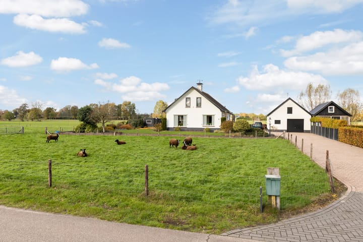 Photo 39 of Scheivoor 3