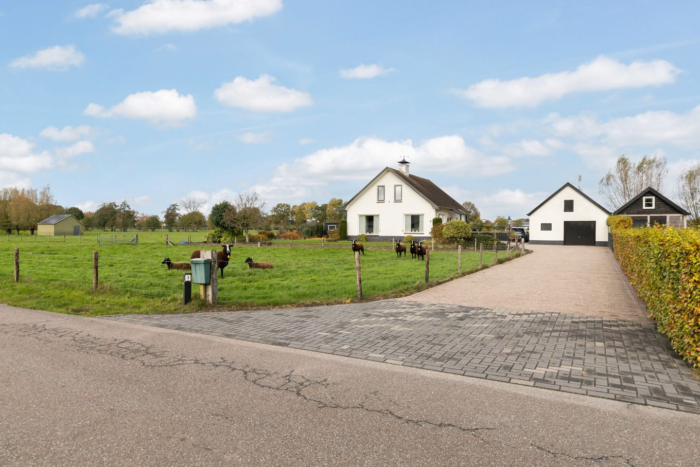 Foto 40 van Scheivoor 3